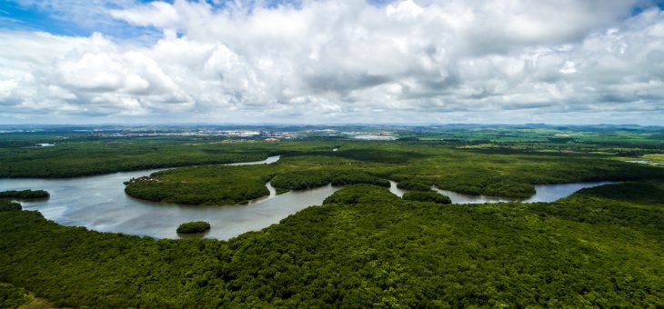 Organizações pedem anulação de audiências públicas de nova hidrelétrica na Amazônia