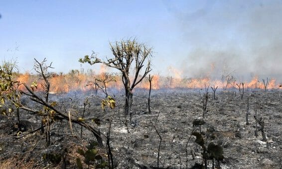 Queimadas provocam quatro desligamentos em linhas de energia em Macaé, no RJ