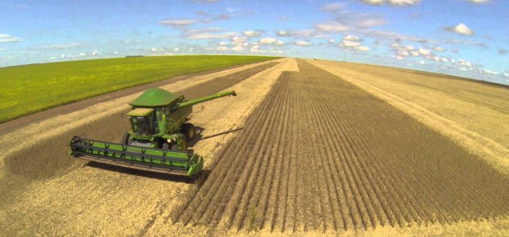 Agronegócio Alta Luz Brasil arremata lote 1 do certame de transmissão